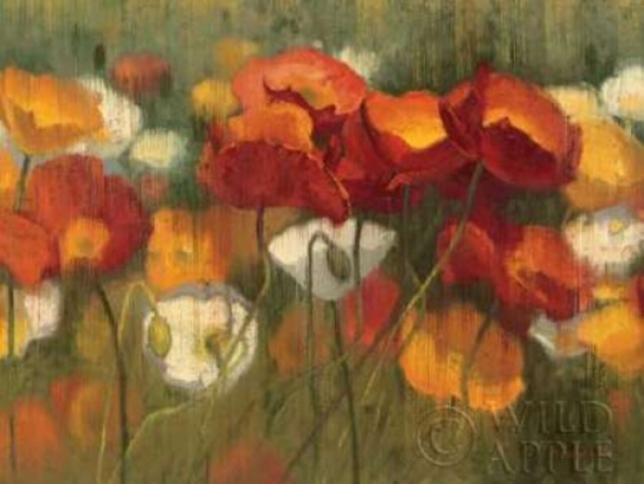 The Power of Red II Poster Print by Shirley Novak - Item # VARPDX2872